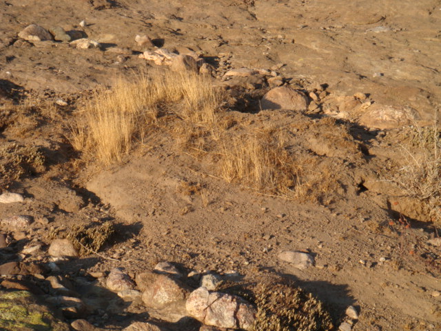 Mound1 Golgotha
